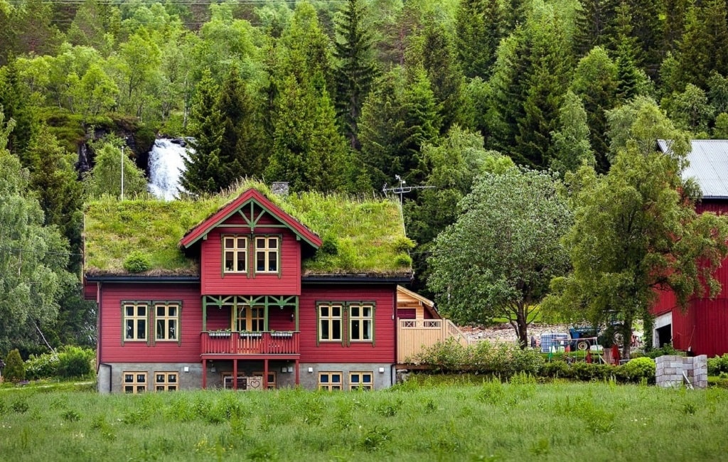 Picture of Nine Eco-Friendly and Sustainable Home Renovation Ideas | Blog | Zenith ...